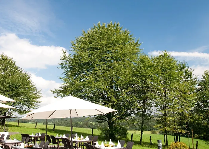 Trans World Kranichhoehe מוך